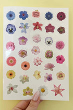 Load image into Gallery viewer, Flower Sticker Sheet