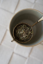 Load image into Gallery viewer, Shkweń Rainforest  Blackberry + Devil's Club + Lemon Balm Tea