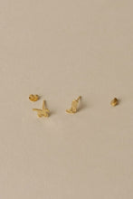 Load image into Gallery viewer, Western Earrings Set of 4