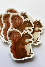Load image into Gallery viewer, Handsome Squirrel Sticker