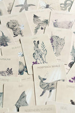 Load image into Gallery viewer, Messengers From The Great Bear Oracle Deck
