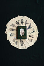 Load image into Gallery viewer, Messengers From The Great Bear Oracle Deck