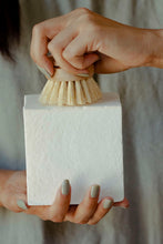 Load image into Gallery viewer, Dish Washing Soap Block